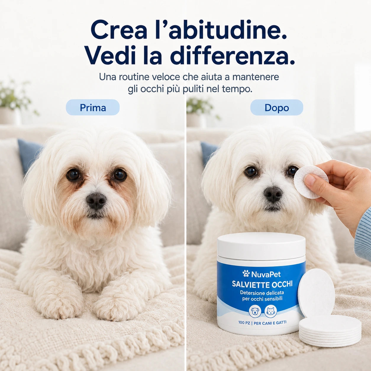 Kit Dischetti Detergenti per Occhi di Cani e Gatti